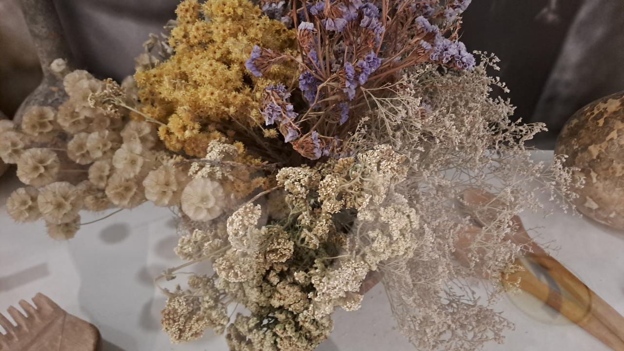 Kır çiçekleri ve otlar