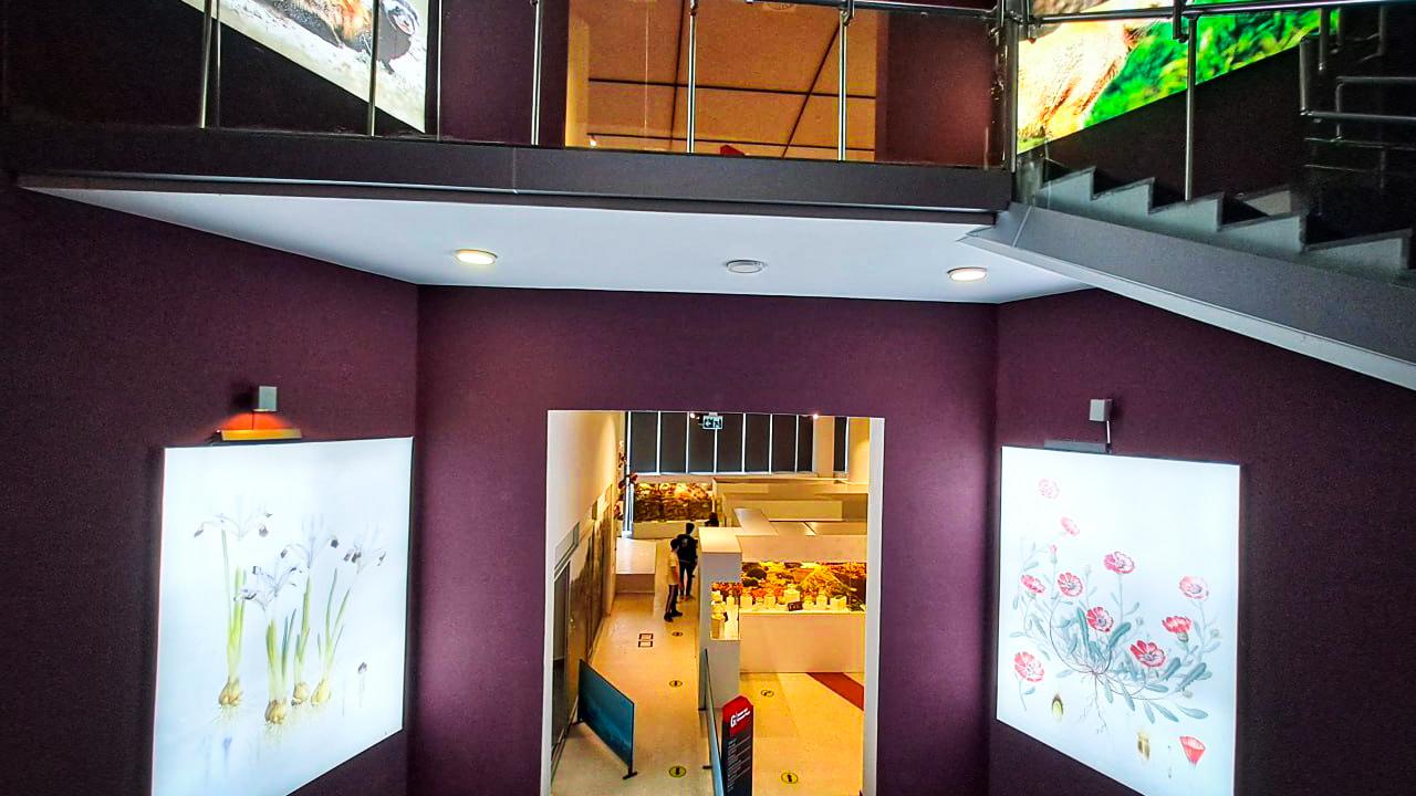 Öğrencilerin gözdesi