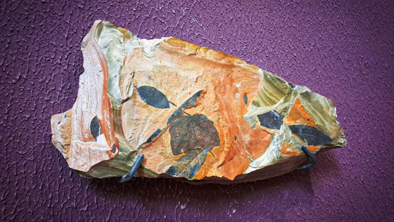 Milyonlarca yıl öncesi uzanma imkanı