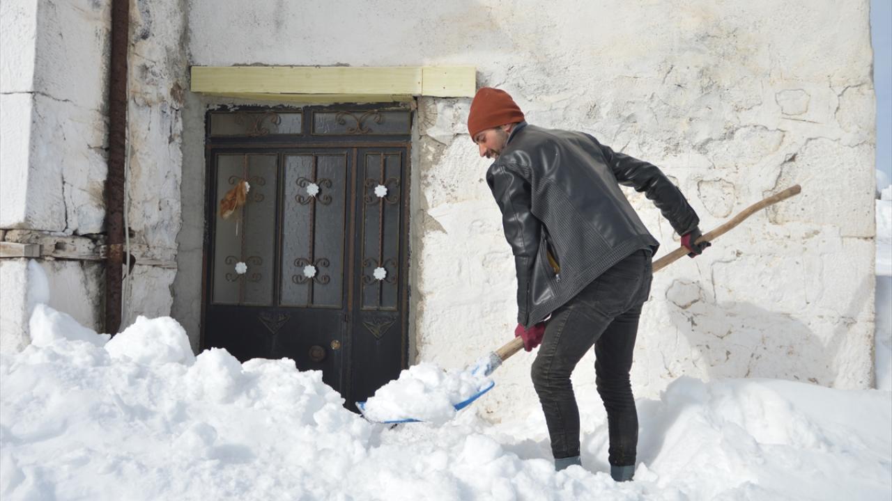İstifledikleri kuru otları 1 metreyi bulan karın altından çıkarıyorlar