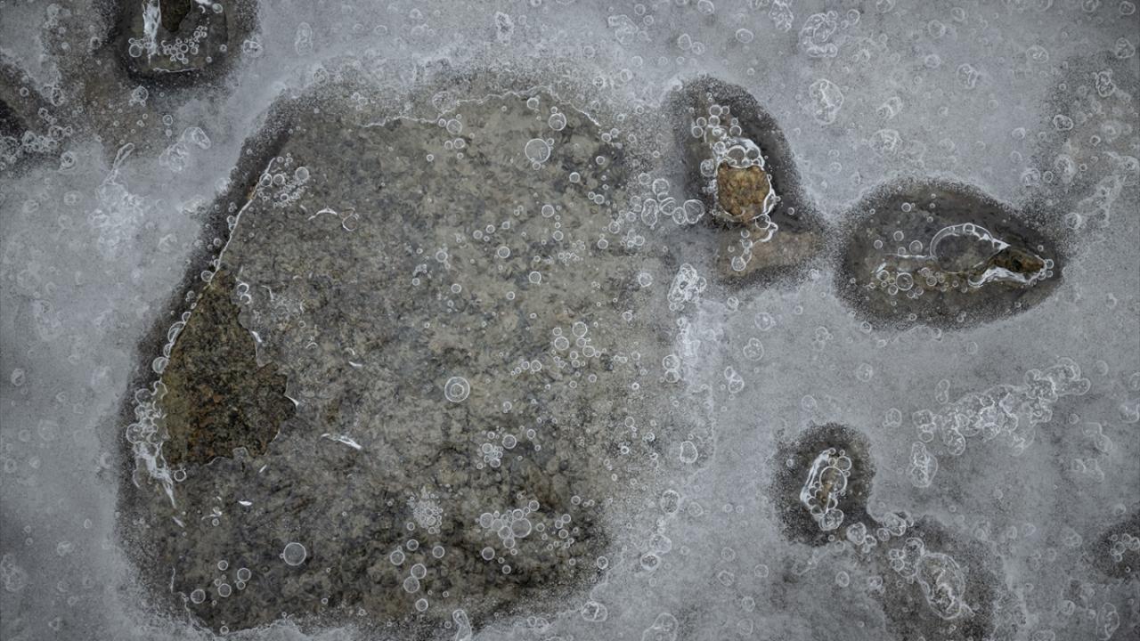 "Buralarda bilimsel aktiviteler tüm hızıyla devam edecek"