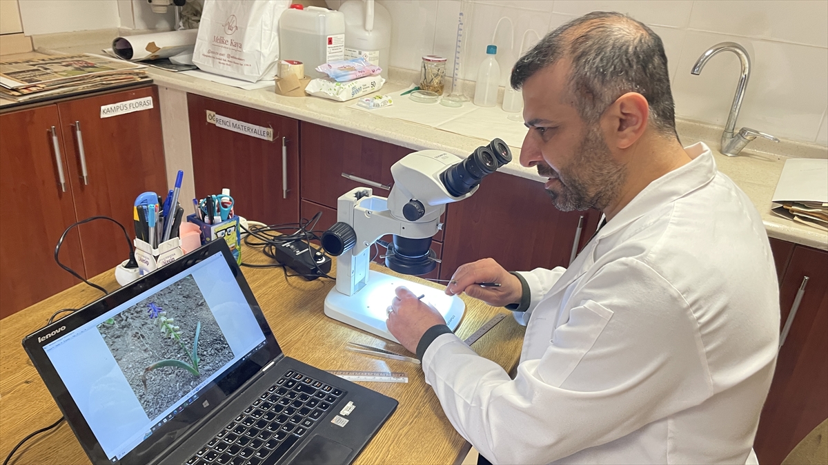 Makaleler uluslararası bilimsel dergide yayımlandı