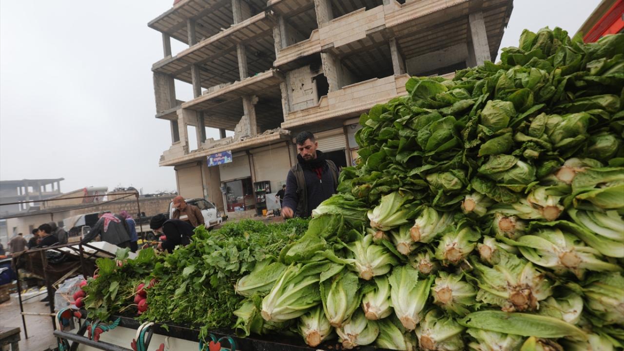 Terörden 7 yıl önce temizlenen Suriye'nin Bab ilçesi yüz binlerce sivilin yurdu oldu