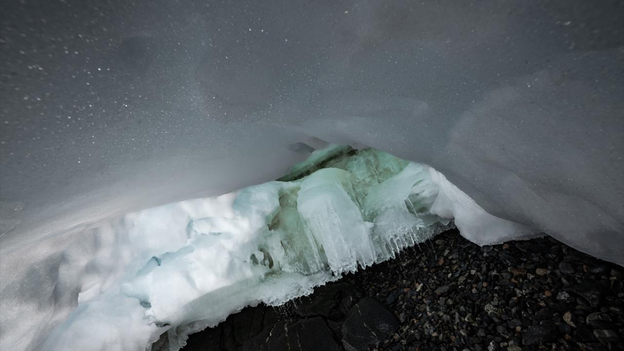 "Buzullar bir gün biterse, bu belki dünyanın sonu olabilir"