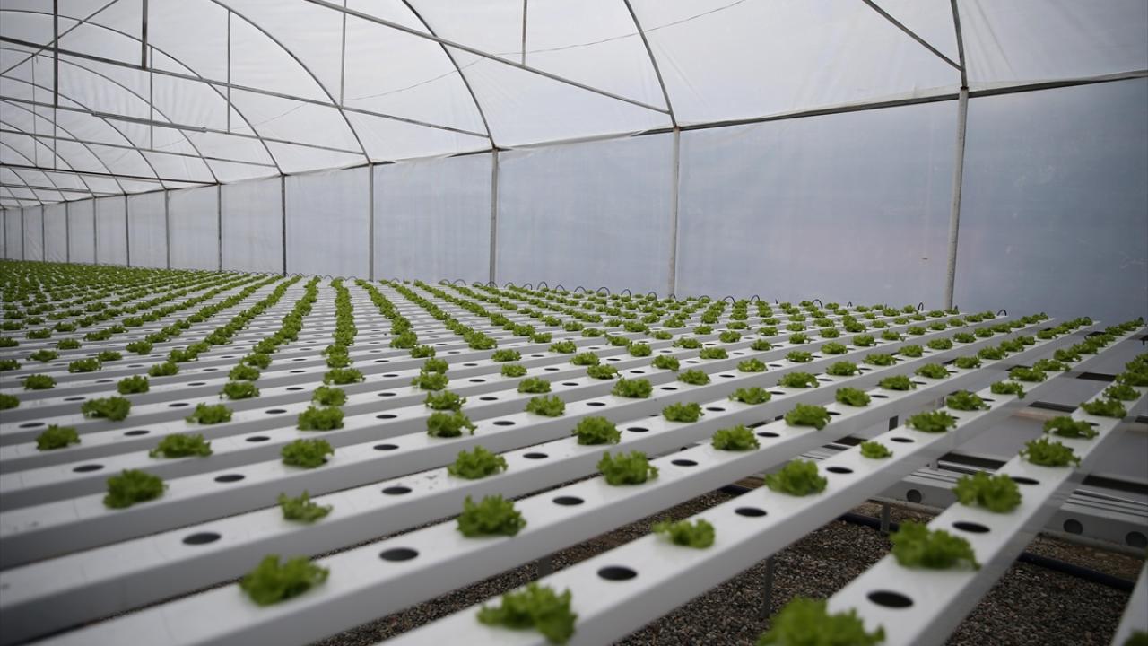 "Yeni sistemi gören tedarikçiler bizimle görüşmek istediklerini dile getiriyor"