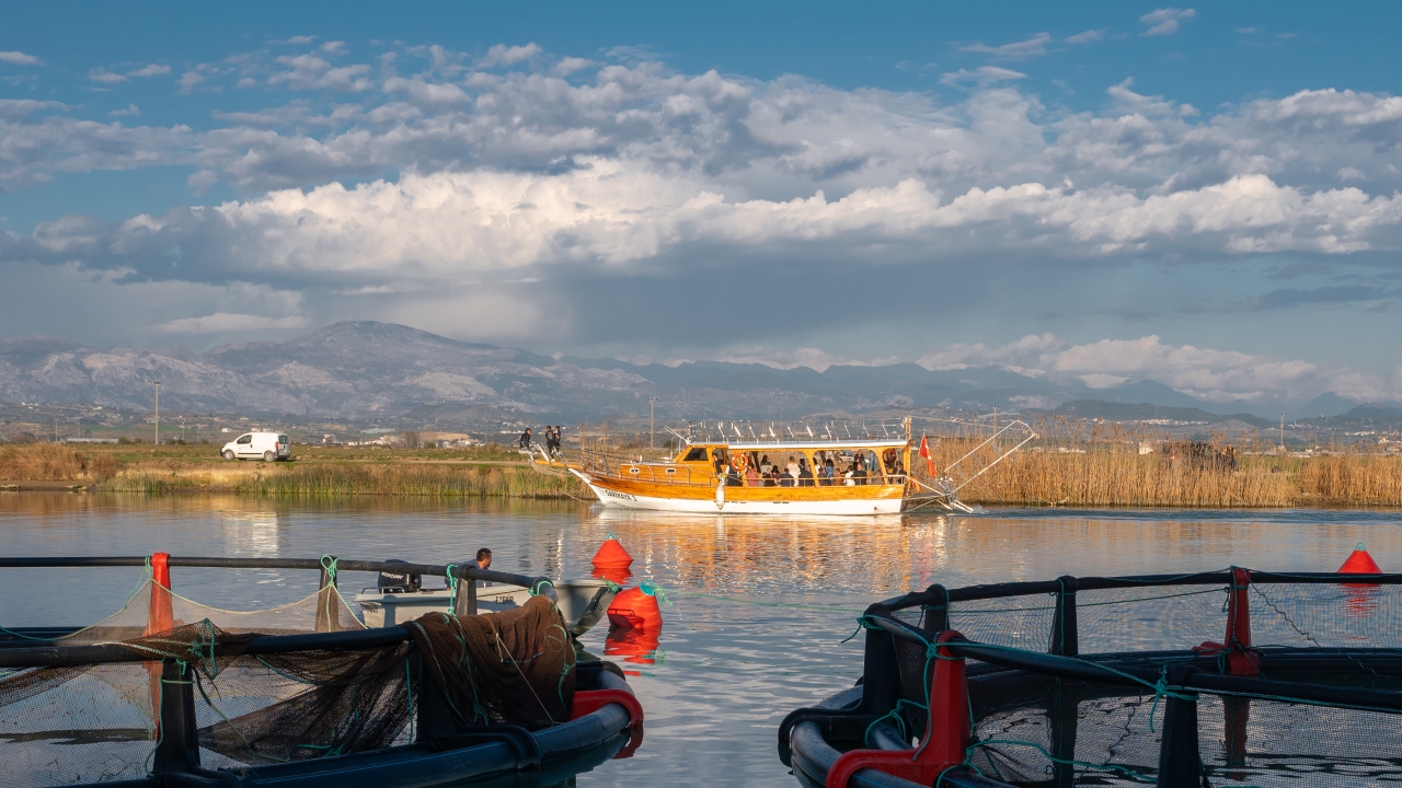 Haber-Fotoğraf: Ali Çilesizoğlu