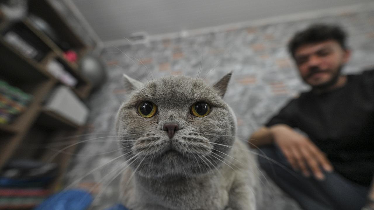 "Kimileri reddediyor, korkuyor ama zamanla keyif alıyorlar"