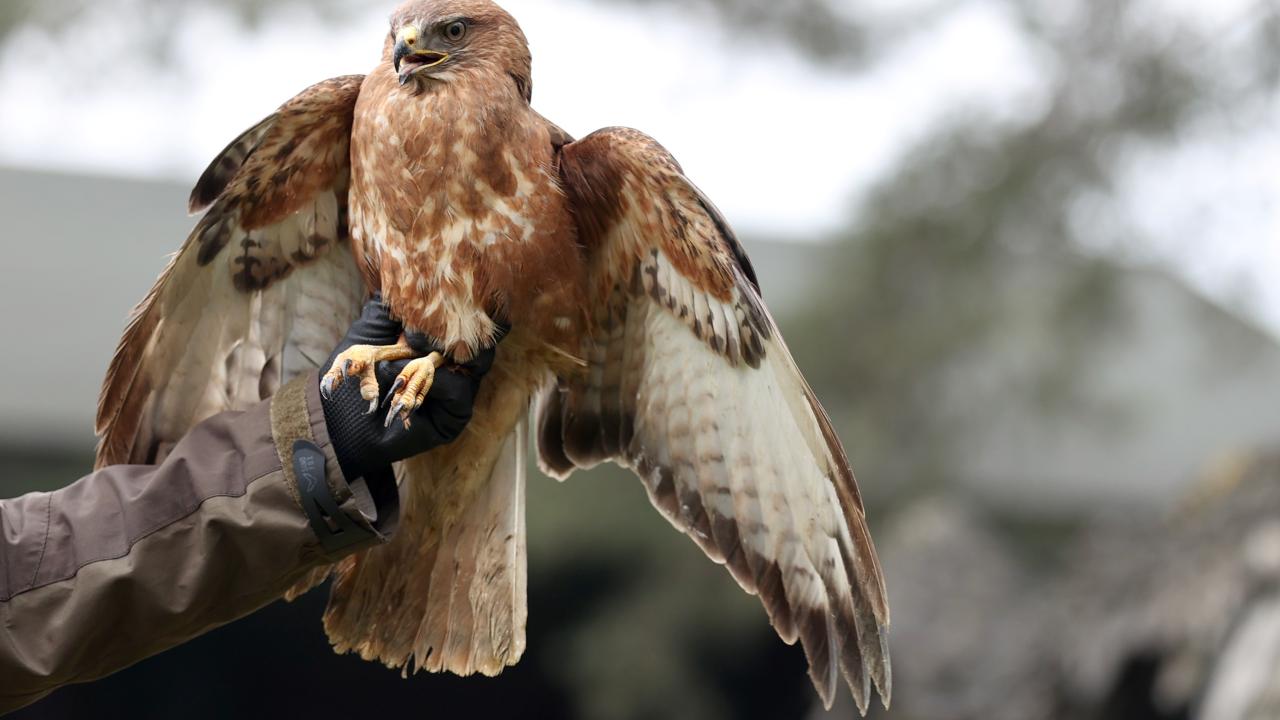 "Kas gelişimlerine destek olduk, egzersizlerini yaptırdık"