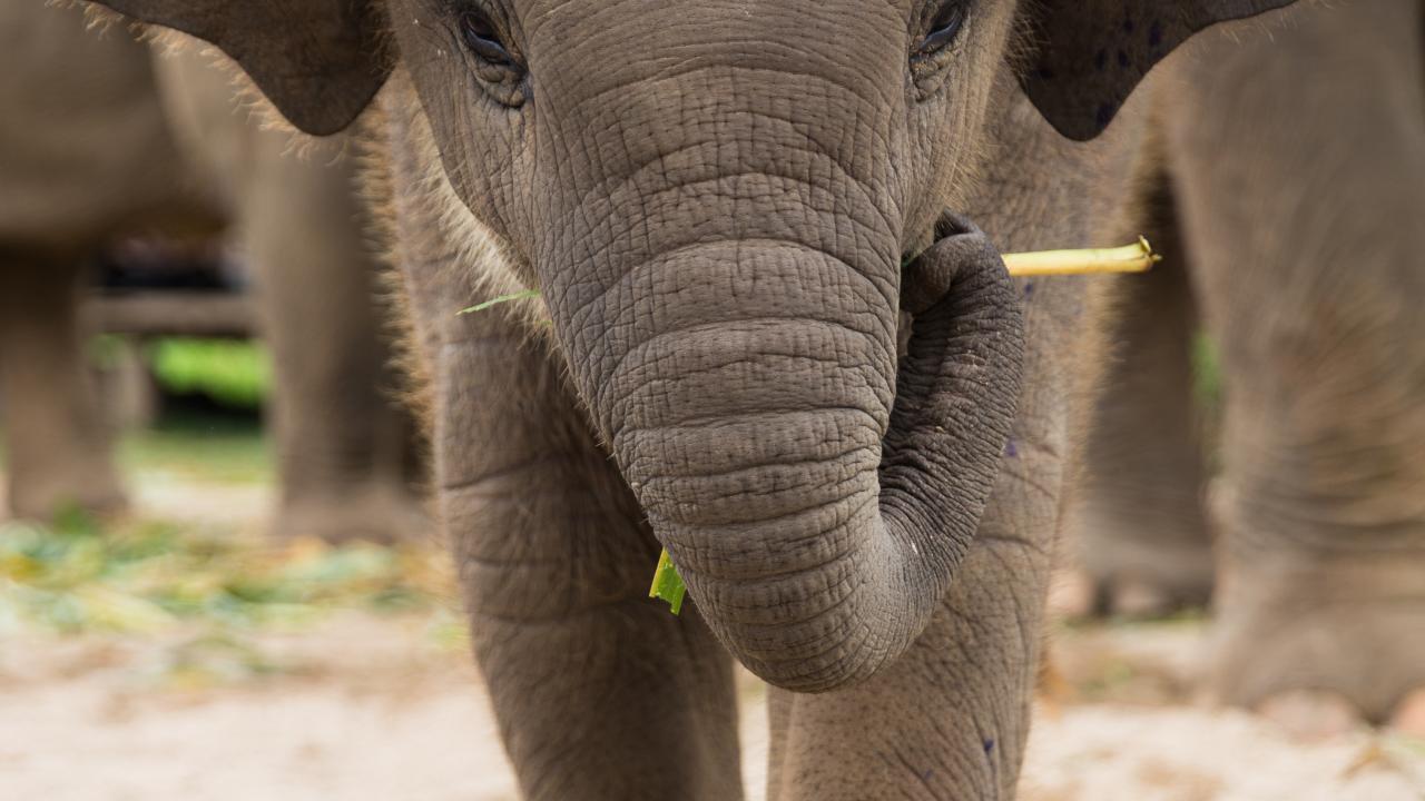 "En zoru otoritelere ve turistlere bu yanlışlığı anlatmaya çalışmak oldu"