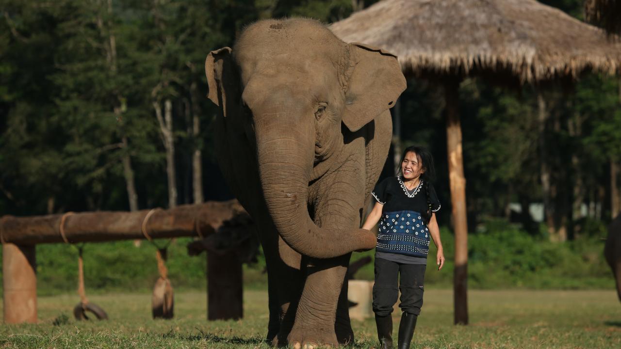 "Ömrüm yettiğince onların sesi olmaya devam edeceğim"