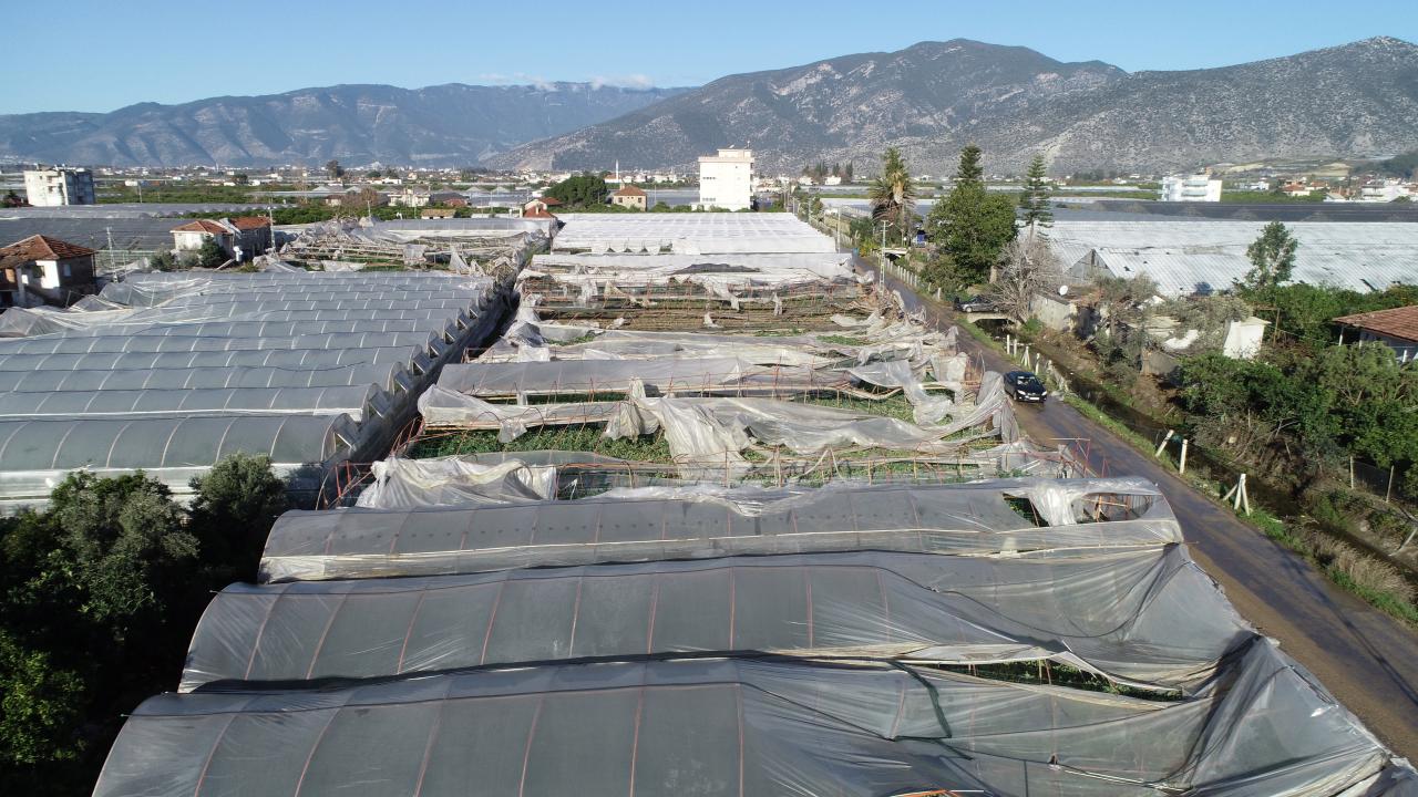 Kaymakamlık: 6 vatandaşımız yaralı