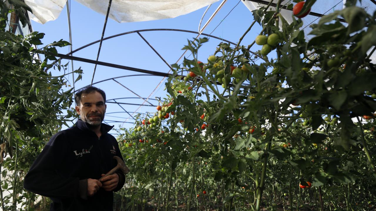 Bin dönüm sera zarar gördü