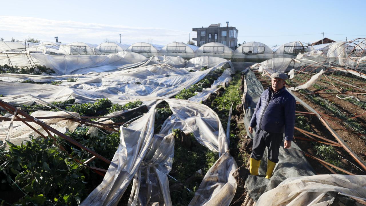 "Felaket olunca karaborsacılar ortaya çıkıyor"
