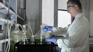 Gezeravcı'nın uzayda yaptığı mikroalg deneyinden ilk sonuç alındı