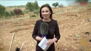 Filistin'de kadın gazeteci olmak: Her an öldürülebilirim