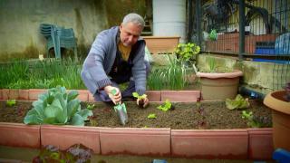 60 metrekarede kent çiftçisi