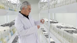 Ömrünü tohumculuğa adayan girişimci 23 çeşit yerli patates tohumunu tarıma kazandırdı