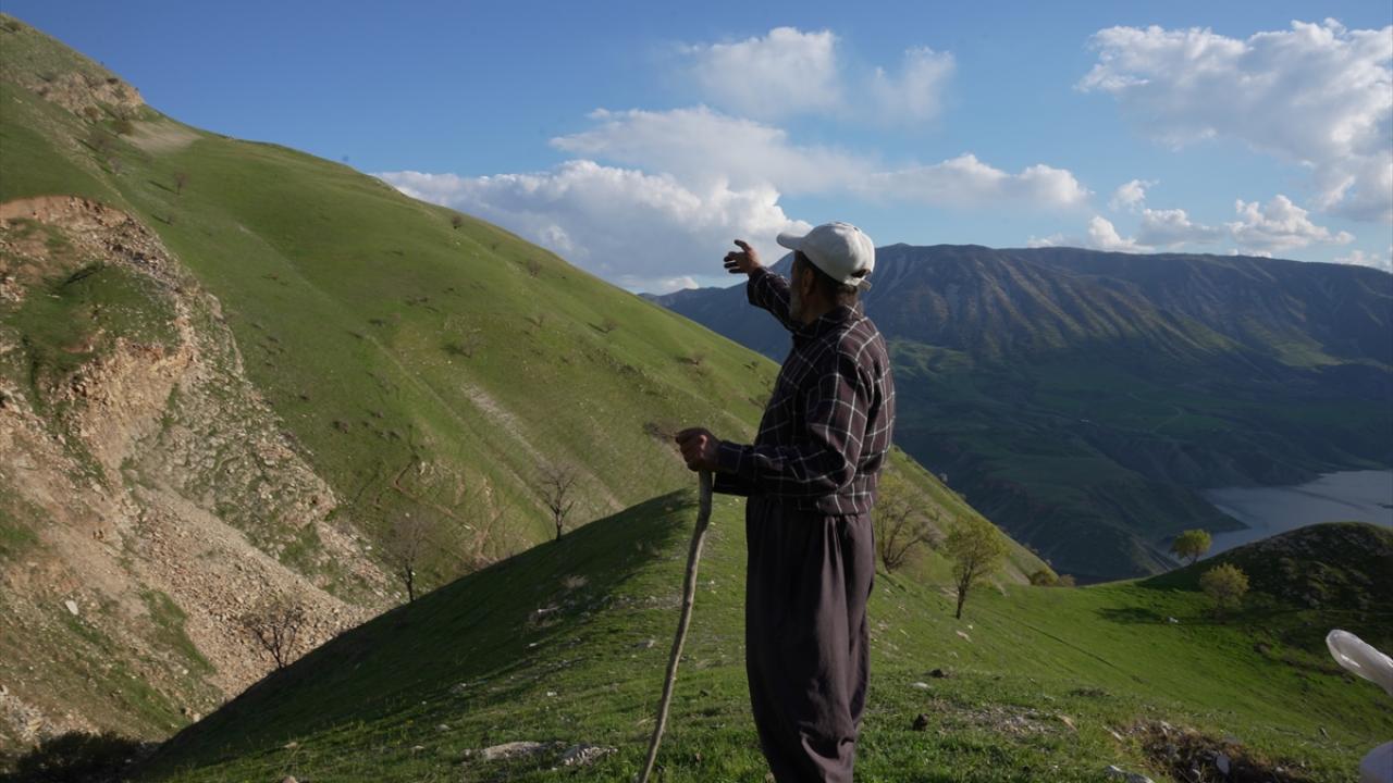 “7 ev içinde (üzeri betonla örtülen) bu bombalar bulunuyor”