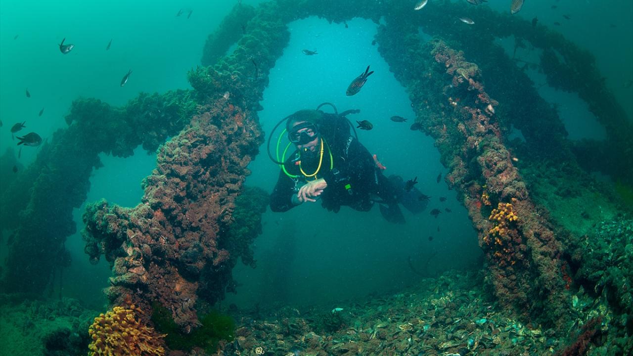Türkiye`nin en ünlü batığı "HMS Majestic"