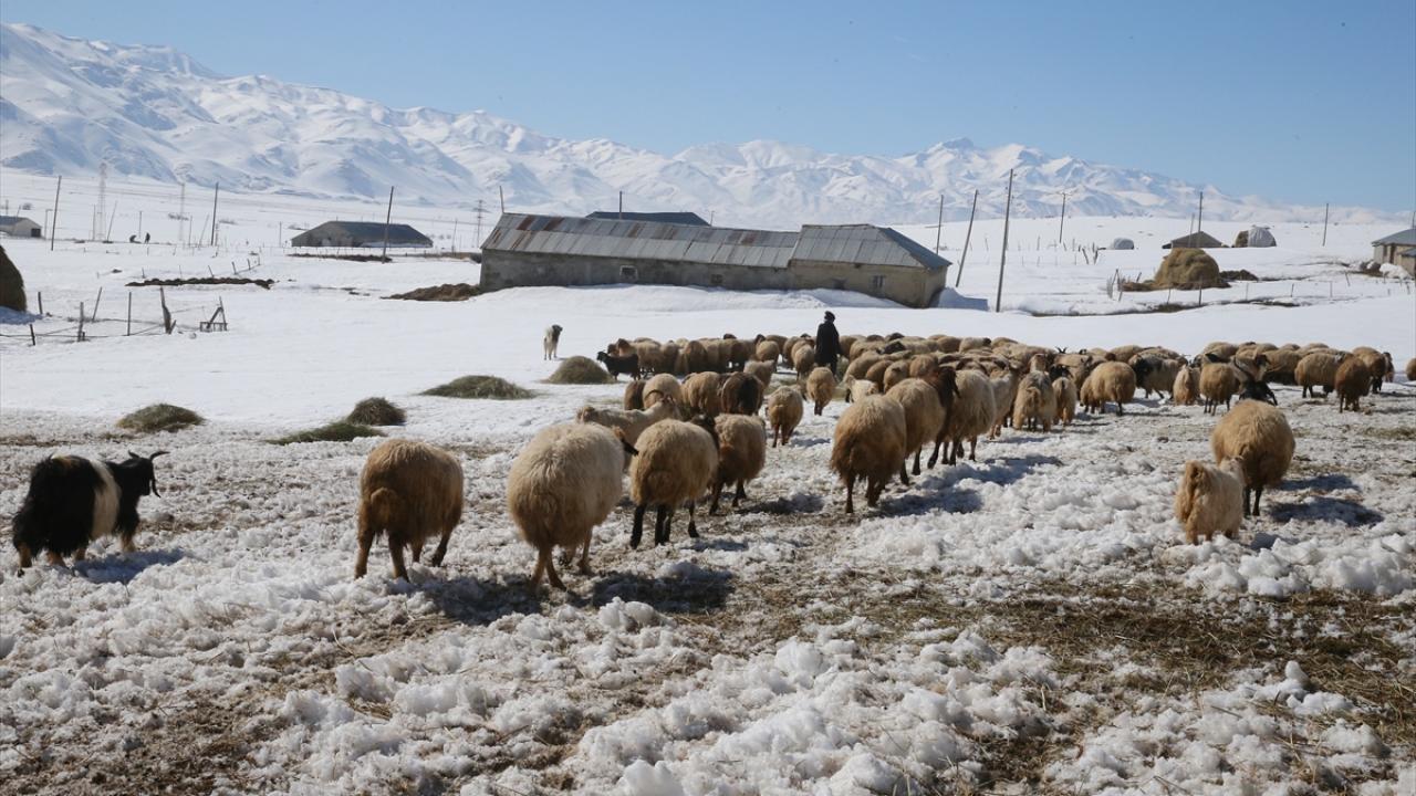 "Gençlerimizin bu işin parçası olması çok önemli"