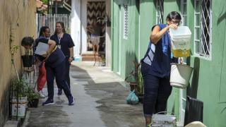 Brezilya'da artan dang humması nedeniyle tedbirler alınıyor