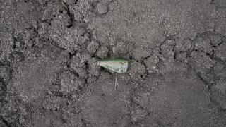 Konya'da kuruyan May Barajı