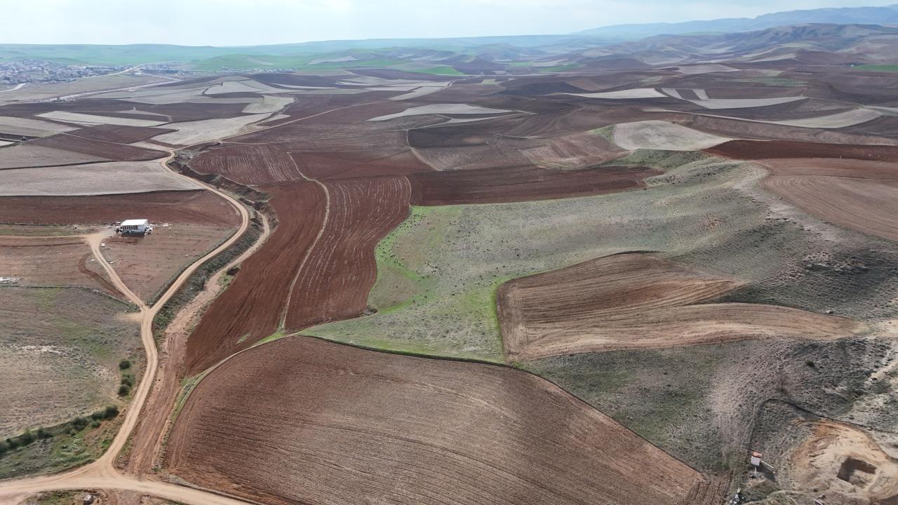 "Suların çekildiği yerde de şu anda davarlarımız otluyor"