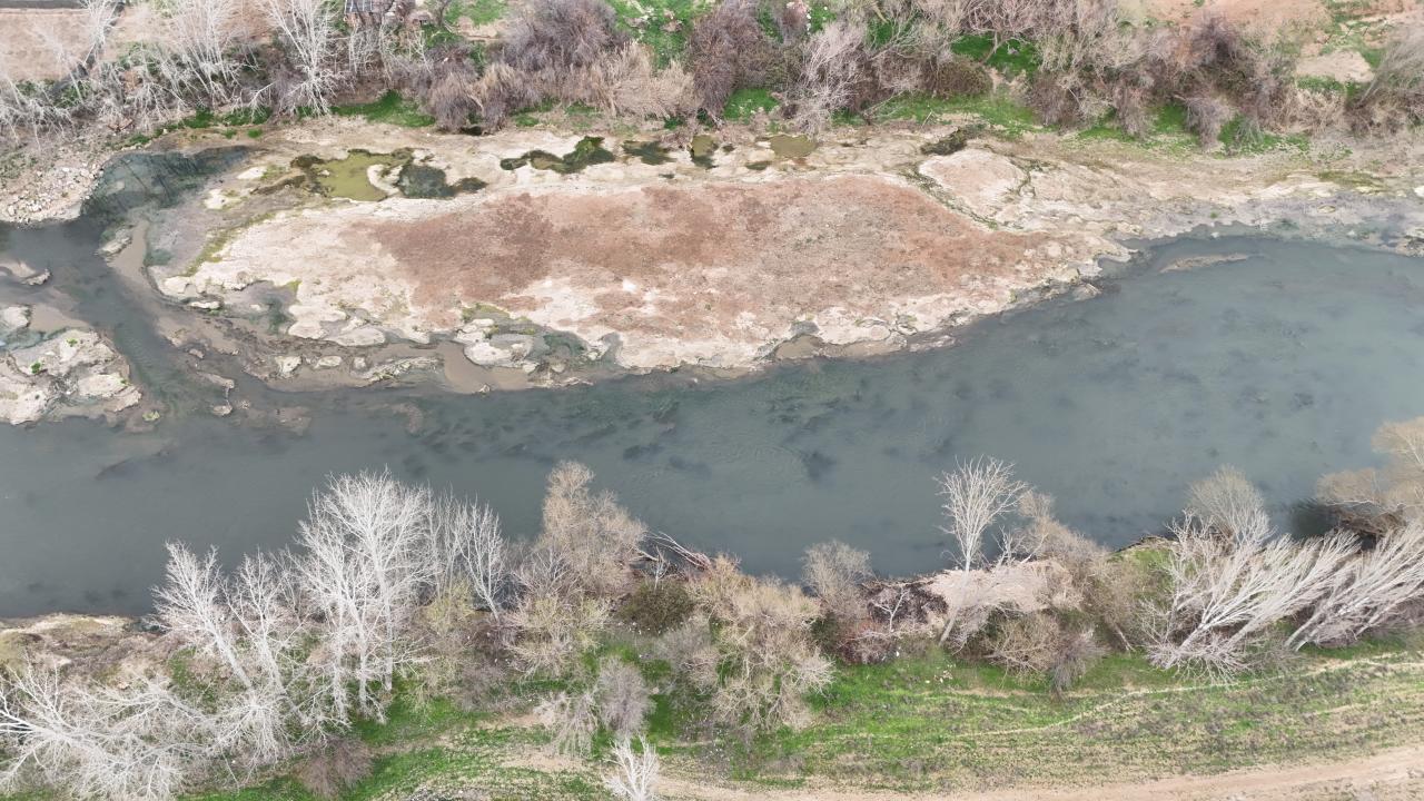 "Bu işin sonu ne olacak bilmiyorum"