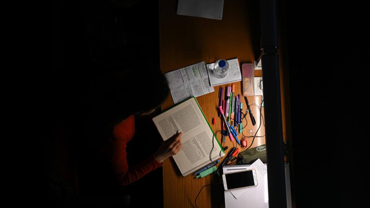 Bebekler kütüphanede