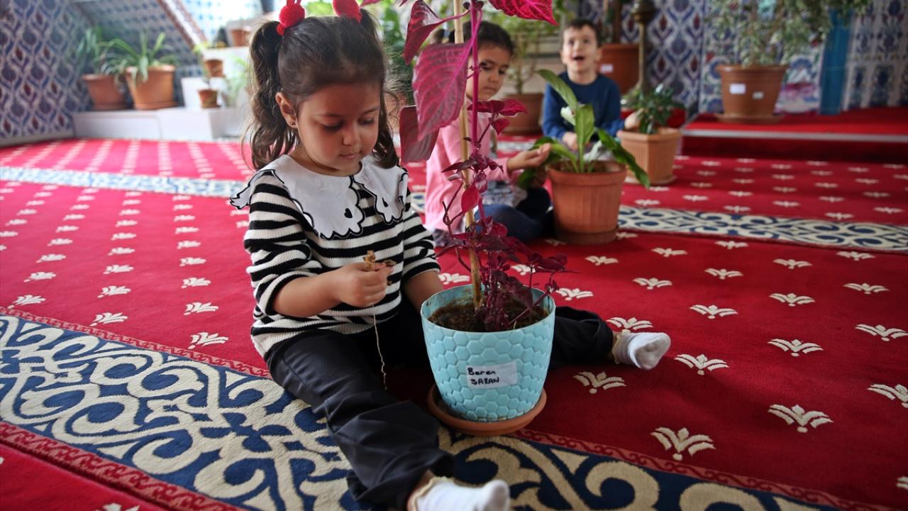 "Her çocuğa bir saksı zimmetledik"