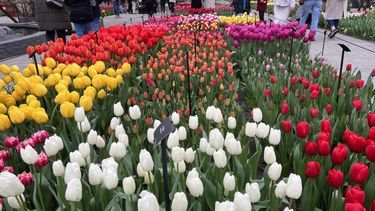 "Renkleri çok sevdim"