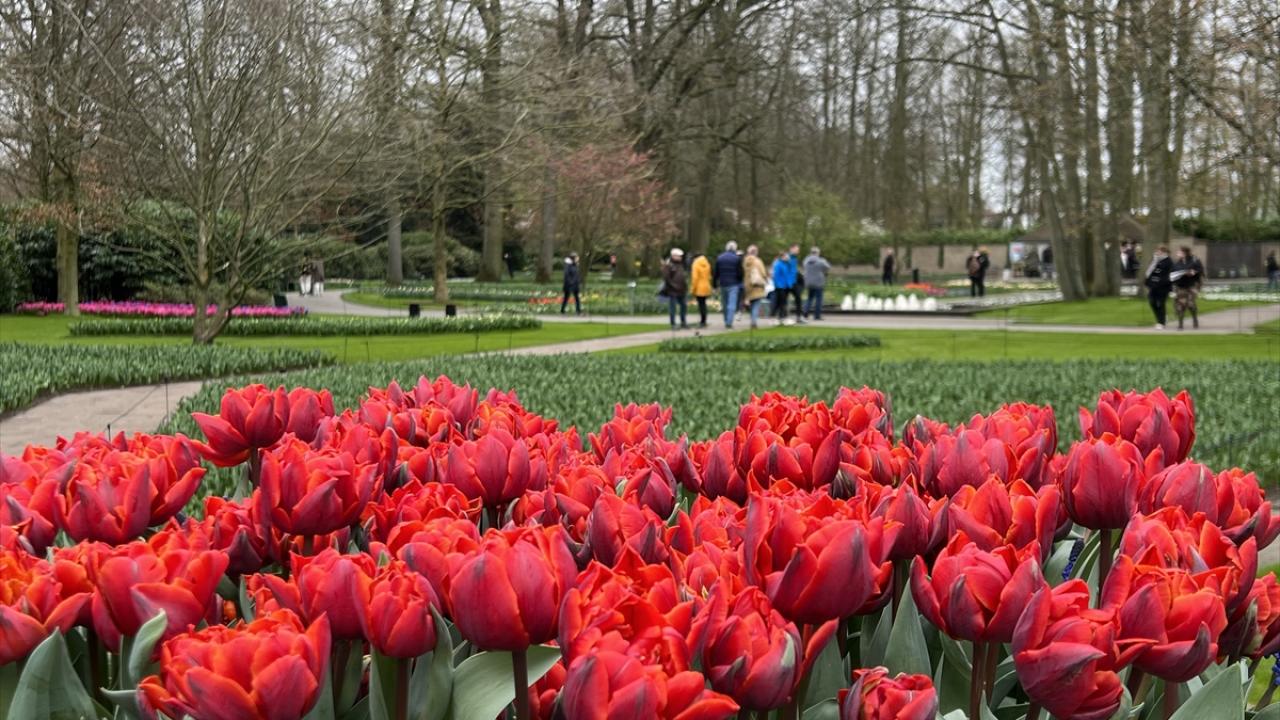 75`inci yıla özel etkinlikler