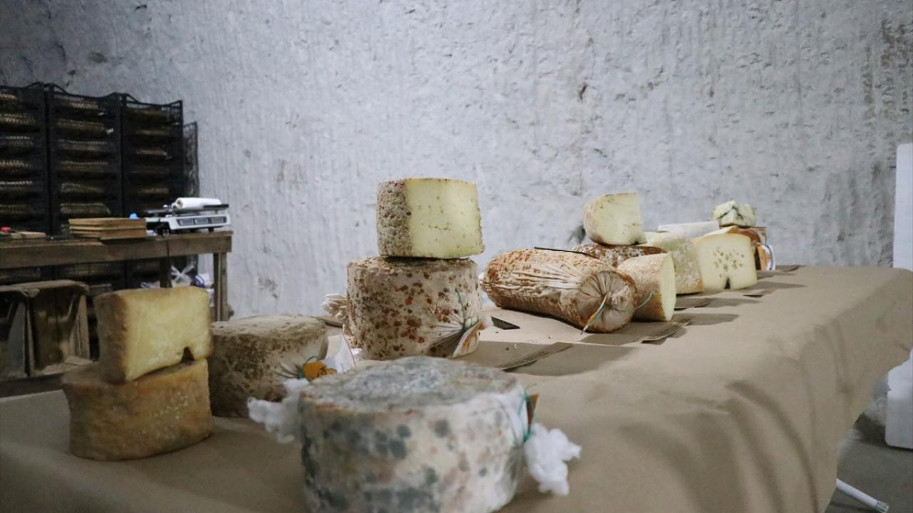 "Yıllık 40 ton civarı peynir üretiyoruz"