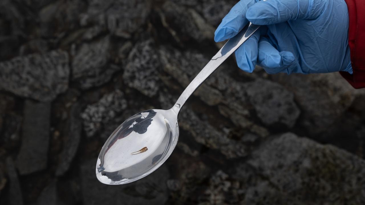 "Denizel fitoplankton çalışmalarını biraz daha derinleştirmeyi amaçlıyoruz"