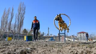 Uyuşturucuyla mücadelede jandarmanın en büyük yardımcısı dedektör köpekler