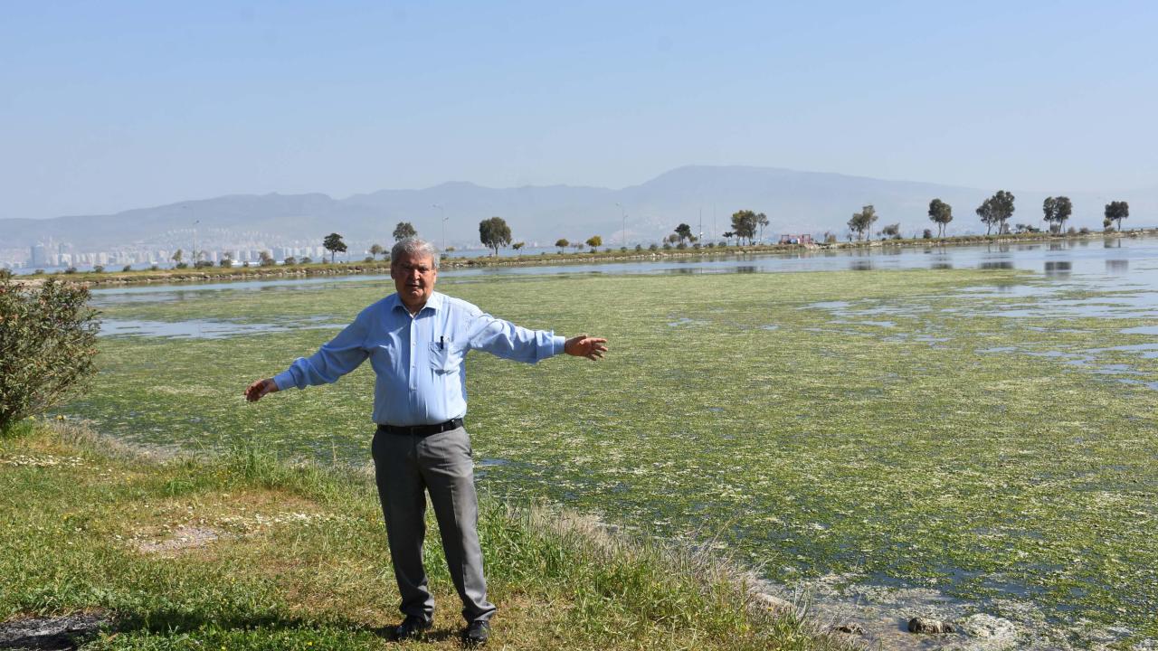 Prof. Dr. Yaşar’dan deniz marulu ile kaplanan Çakalburnu Dalyanı için ‘bataklık’ uyarısı 