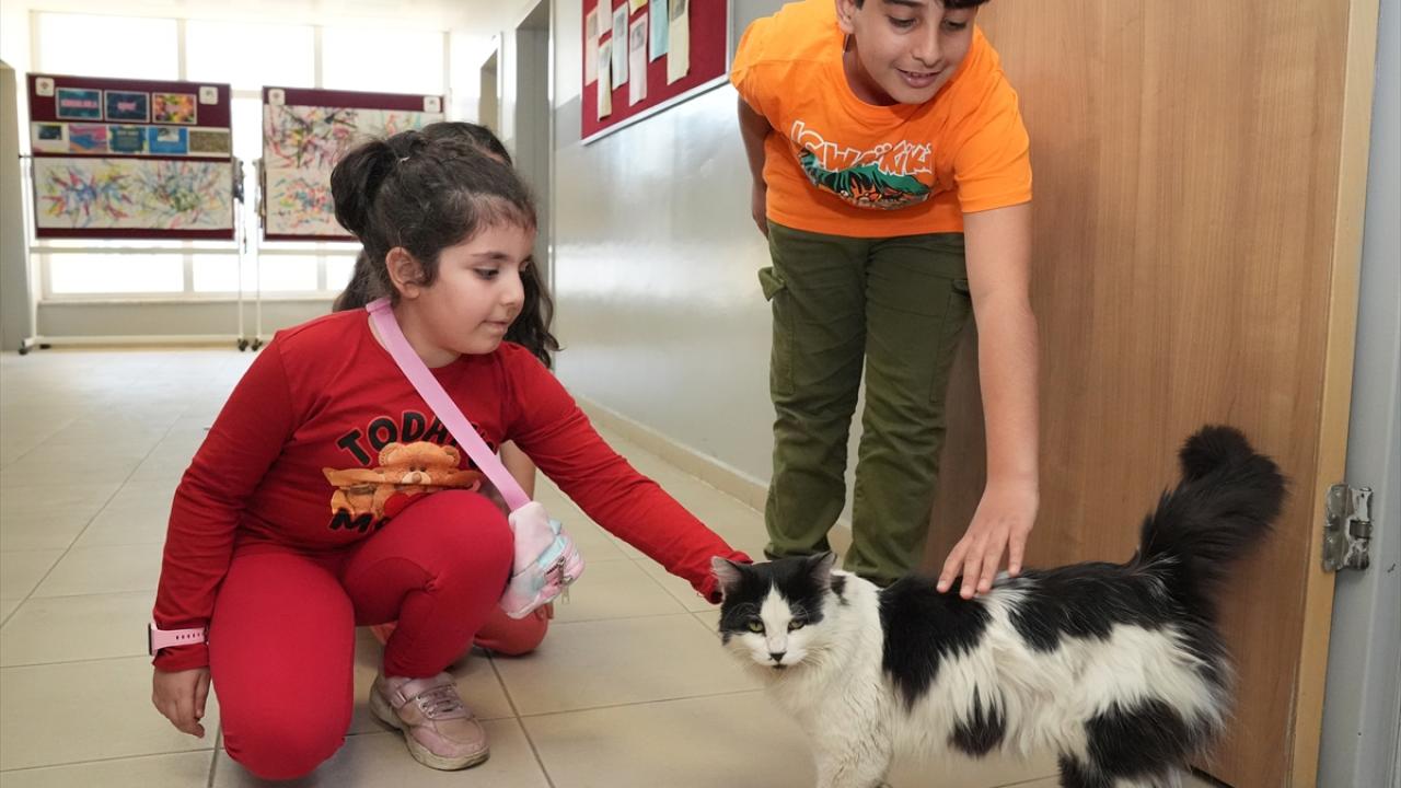 "Merkezin bir parçası oldu"