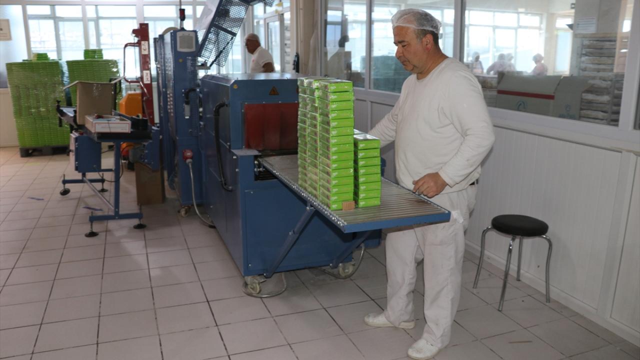 "Firma olarak yaklaşık 30 tonluk üretim yaptık"