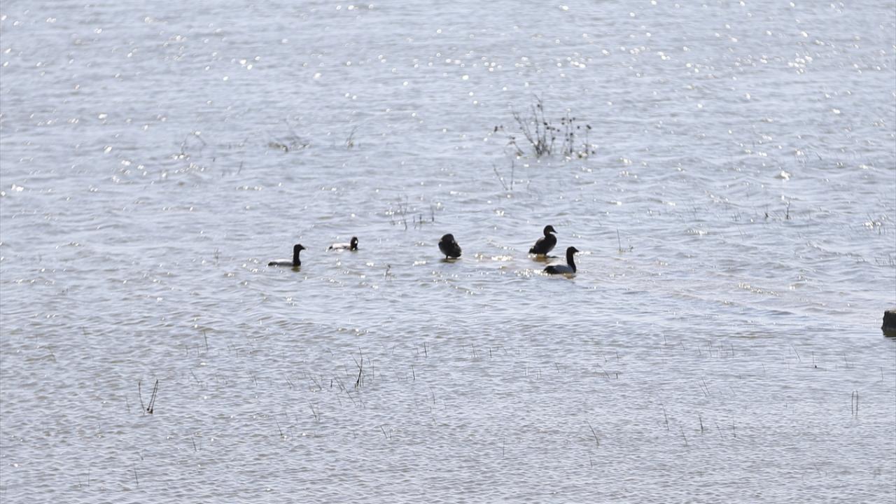 "Milli parkımızın turizme katkısı oldukça fazla"