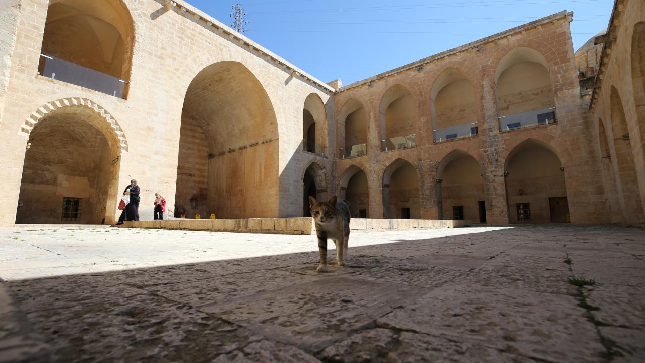 "Bayramın çok yoğun geçeceğini düşünüyoruz"
