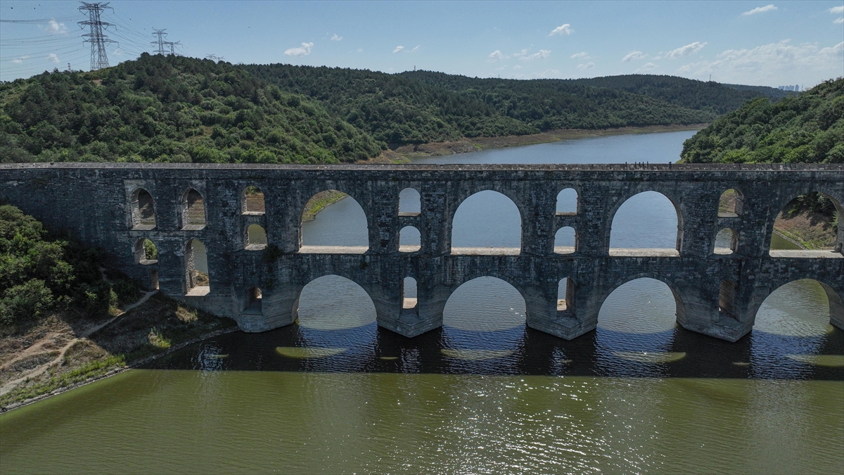 Son 10 yılın doluluk oranları