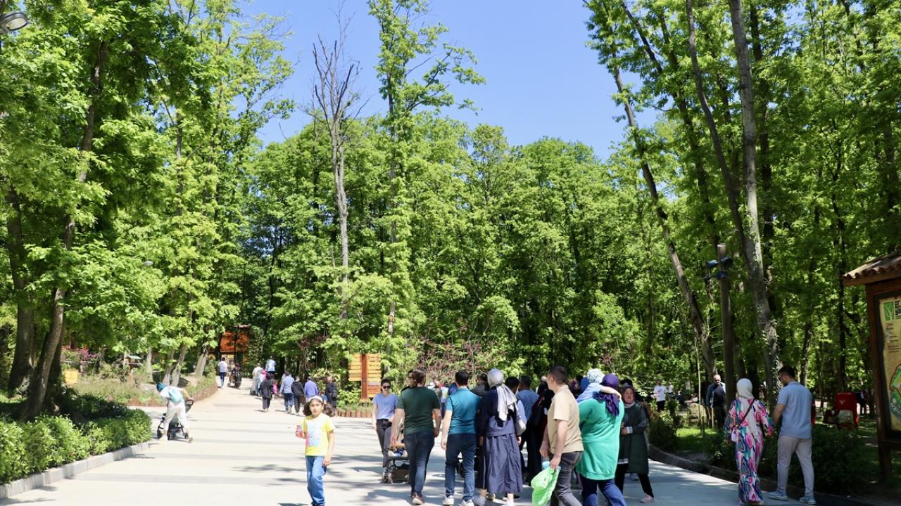 Kartepe`ye gelenler, Samanlı Dağları`ndan Sapanca Gölü ve Körfez manzarasını izledi