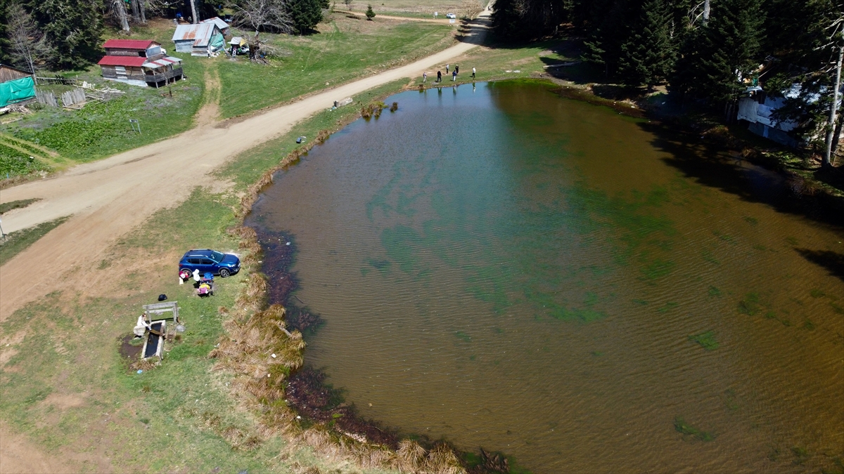 Düzce-Pürenli yaylası