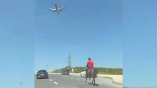 İstanbul'da bir kişi atla trafiğe çıktı