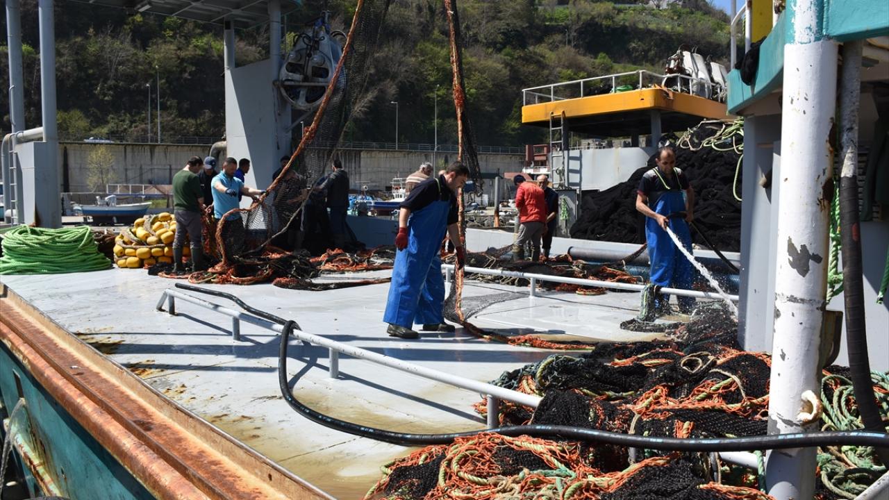 Trabzonlu balıkçılar hamsi avından memnun
