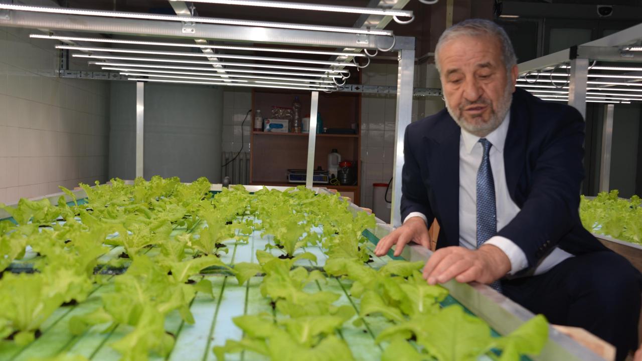 Akuaponiğin sürdürülebilirliğini araştırıyoruz