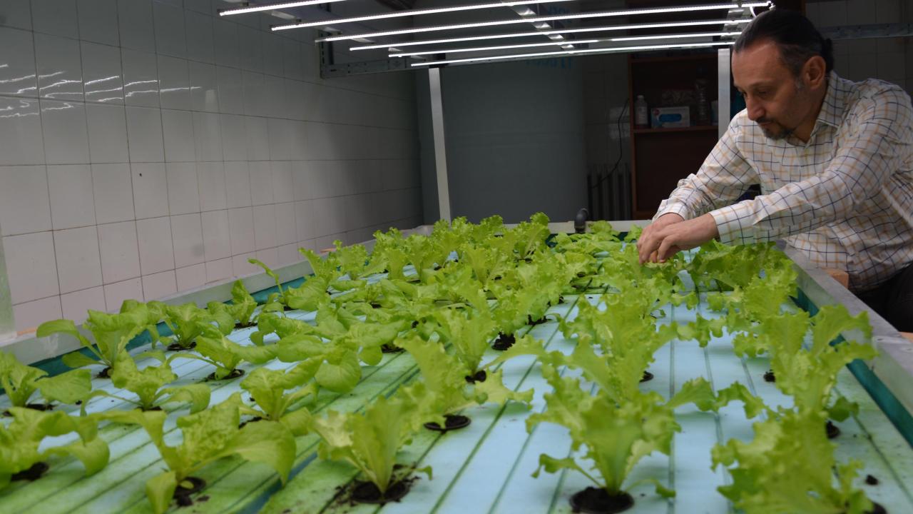 Strafor üzerinde yetiştiricilik