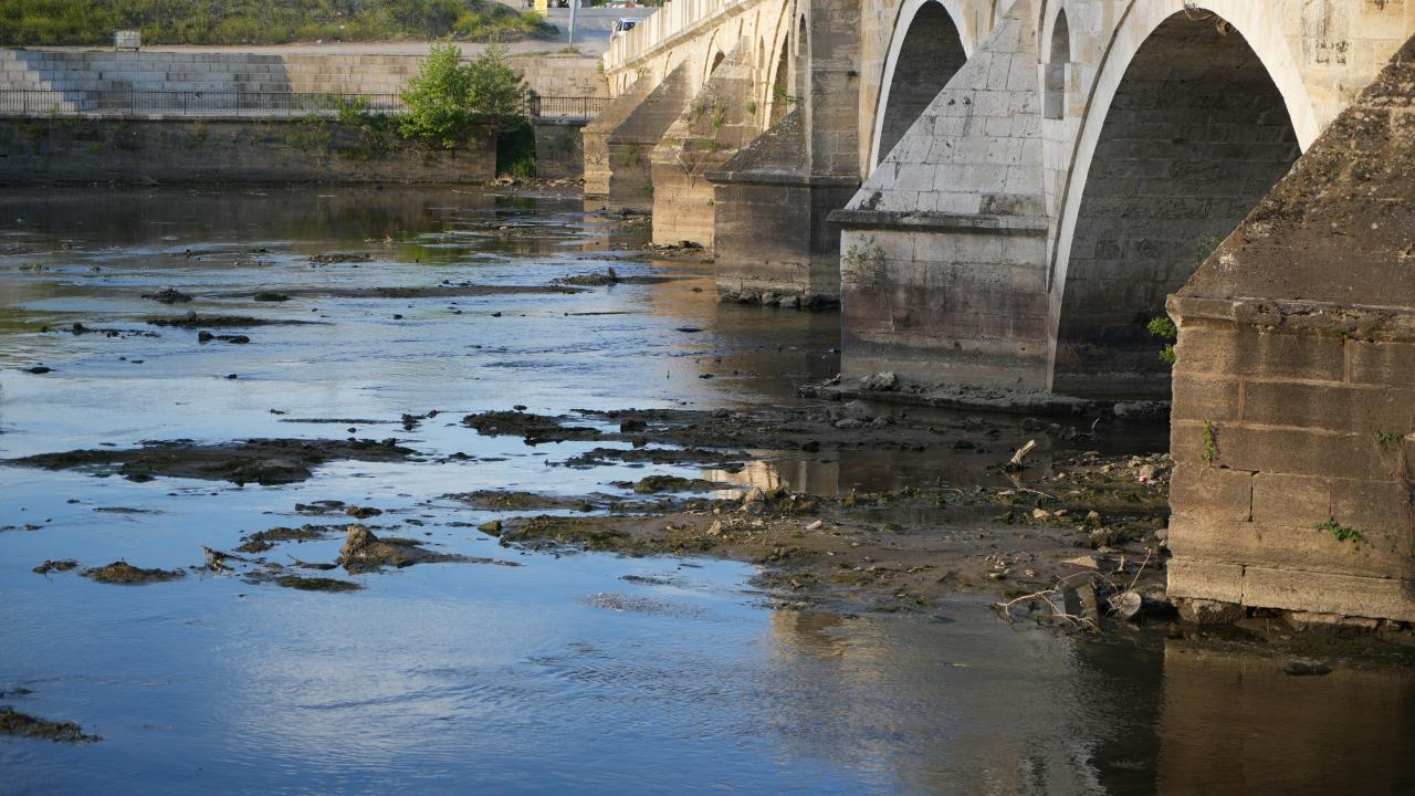 “Nehirdeki canlılar kuraklık nedeniyle yüzmekte zorlanıyor”