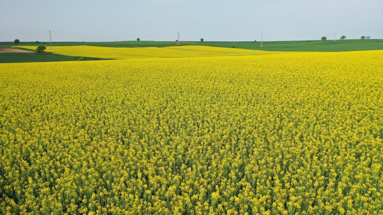 "Çiftçi yağış bekliyor"