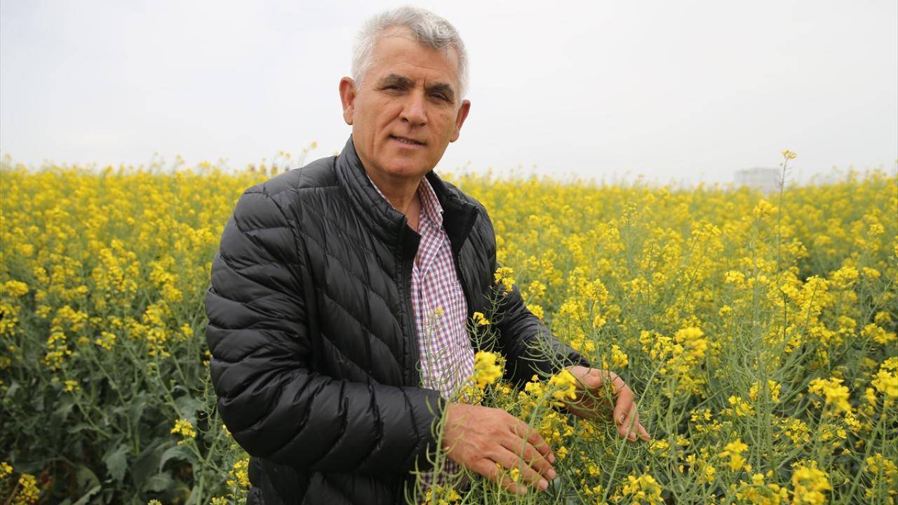 "Son 60-70 yılın en sıcak kış ayını yaşadık"